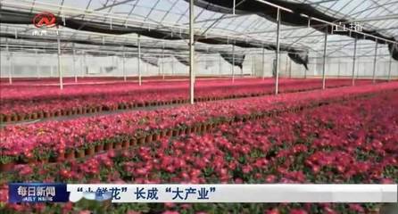 花卉苗木铺就致富路——南昌电视台聚焦安义现代农业产业